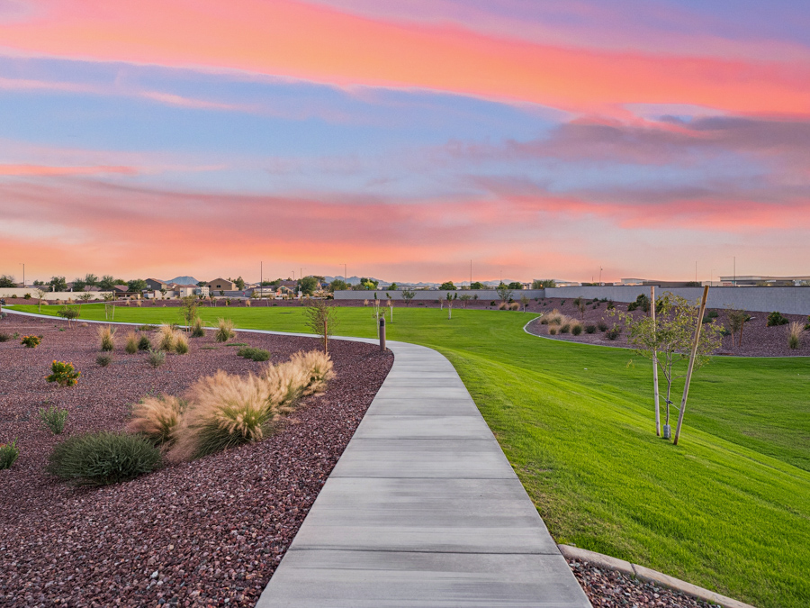 A pathway with grass and trees.