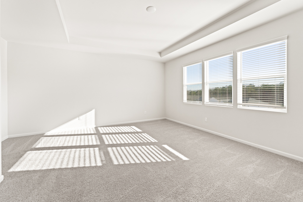 A room with a couch and a rug.