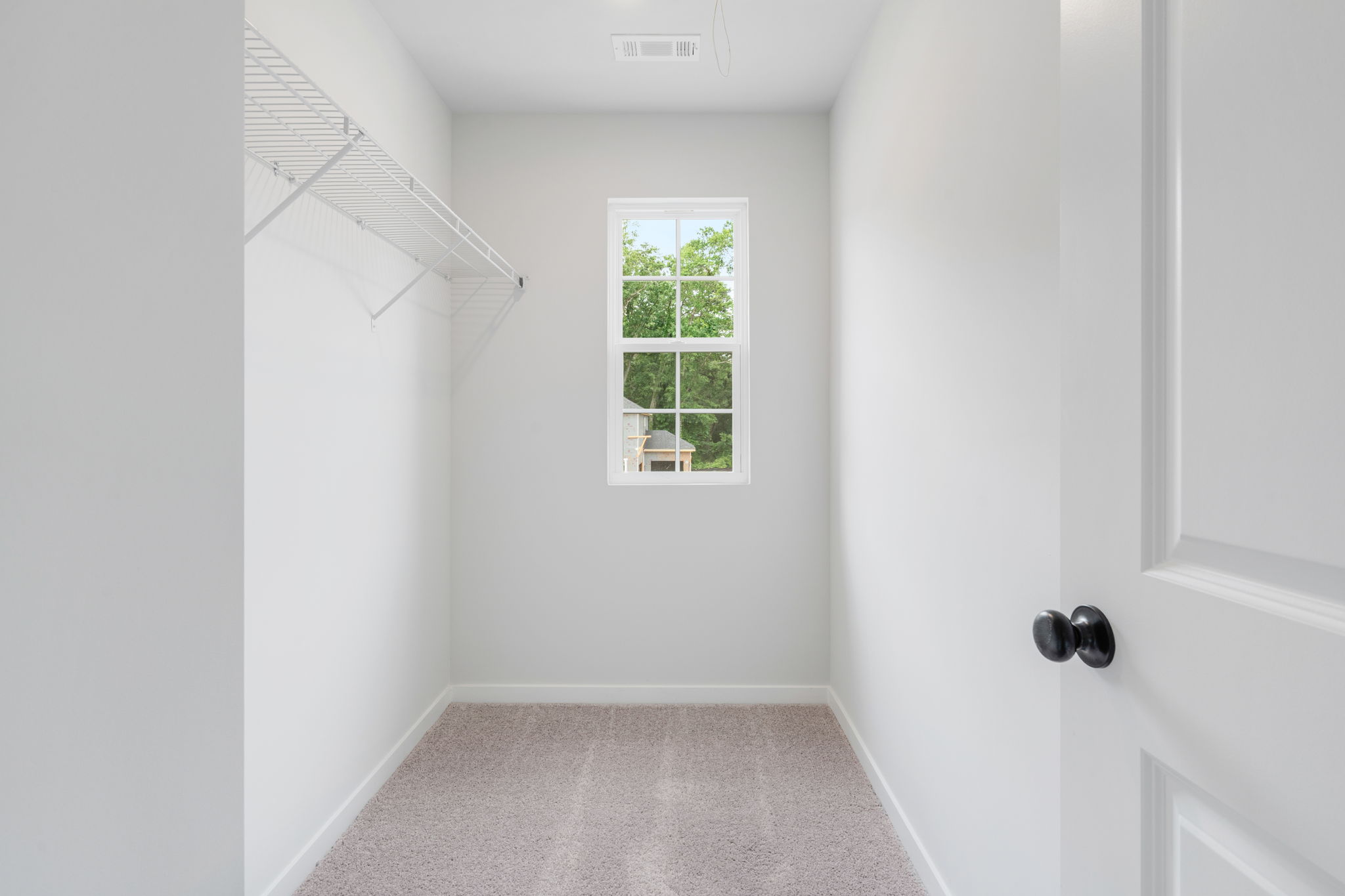 A room with a window and a rug.