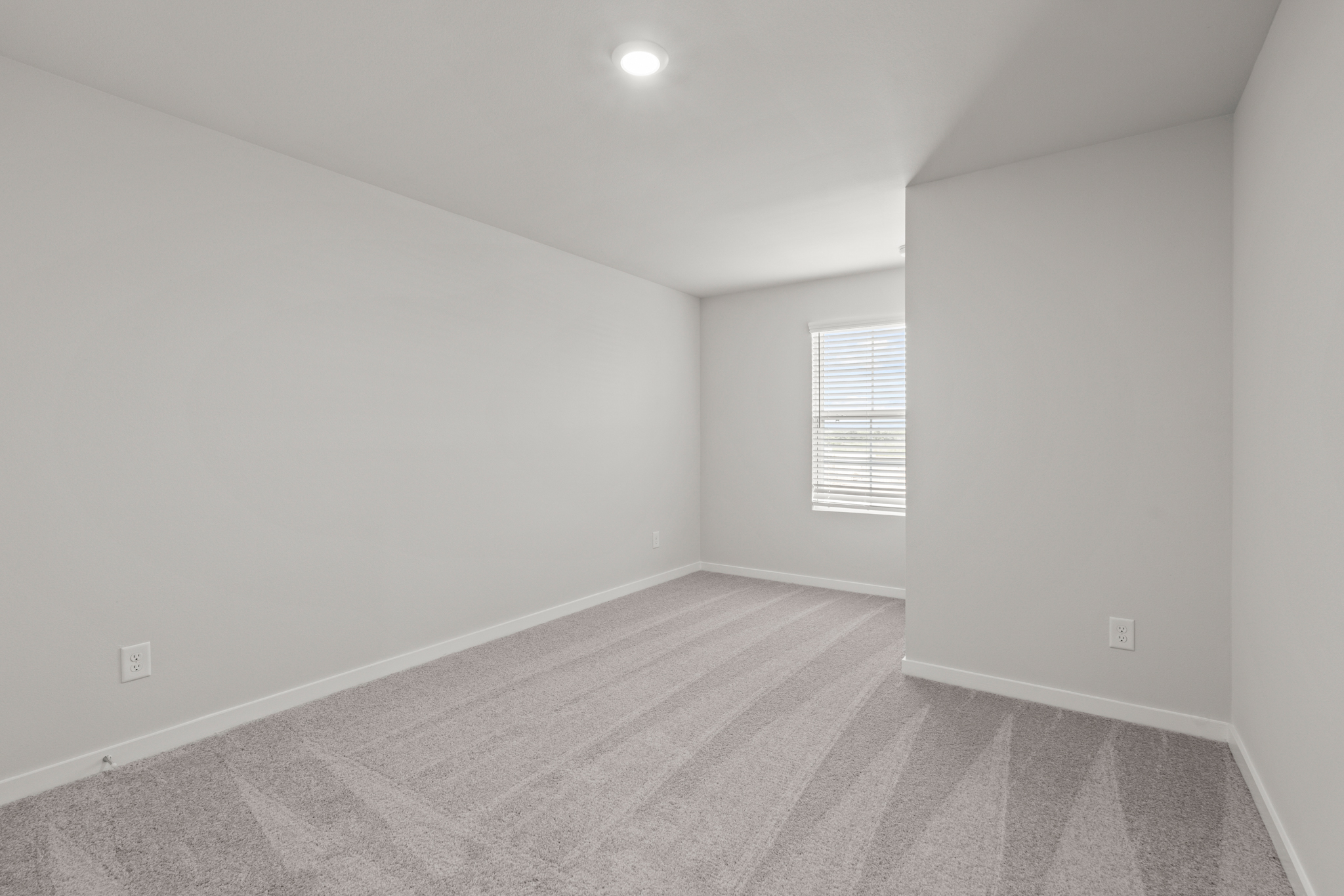 A room with a carpet and a window.