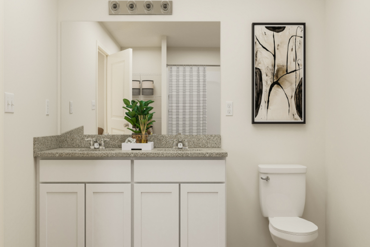 A bathroom with a plant on the counter.